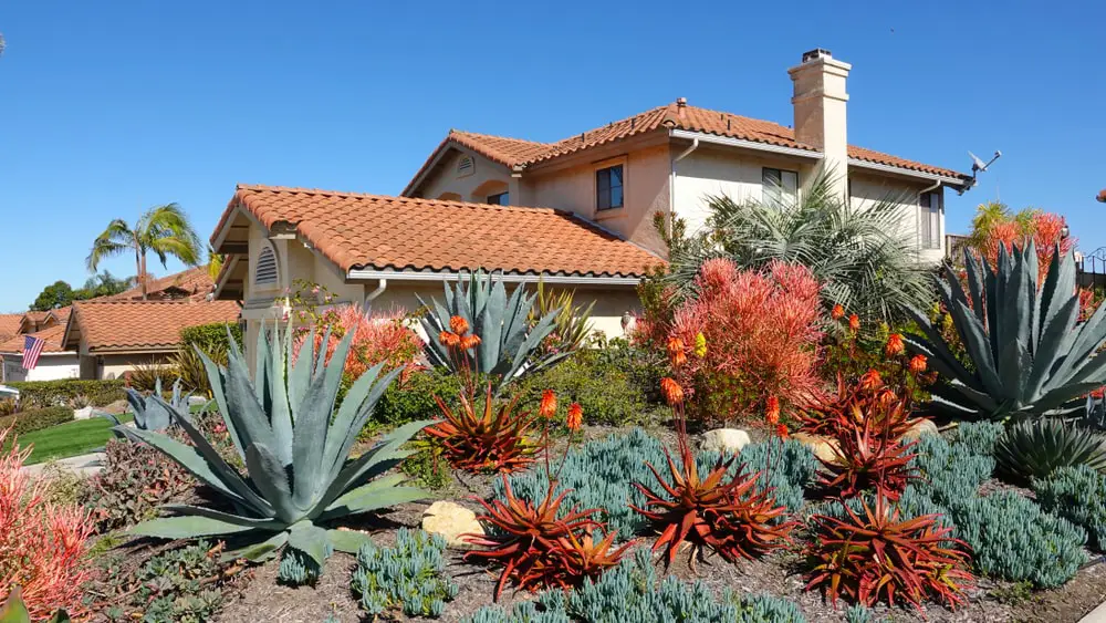 Xeriscaping in residential landscape