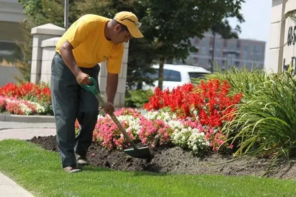 Grounds Guys landscaper doing commercial flower bed maintenance