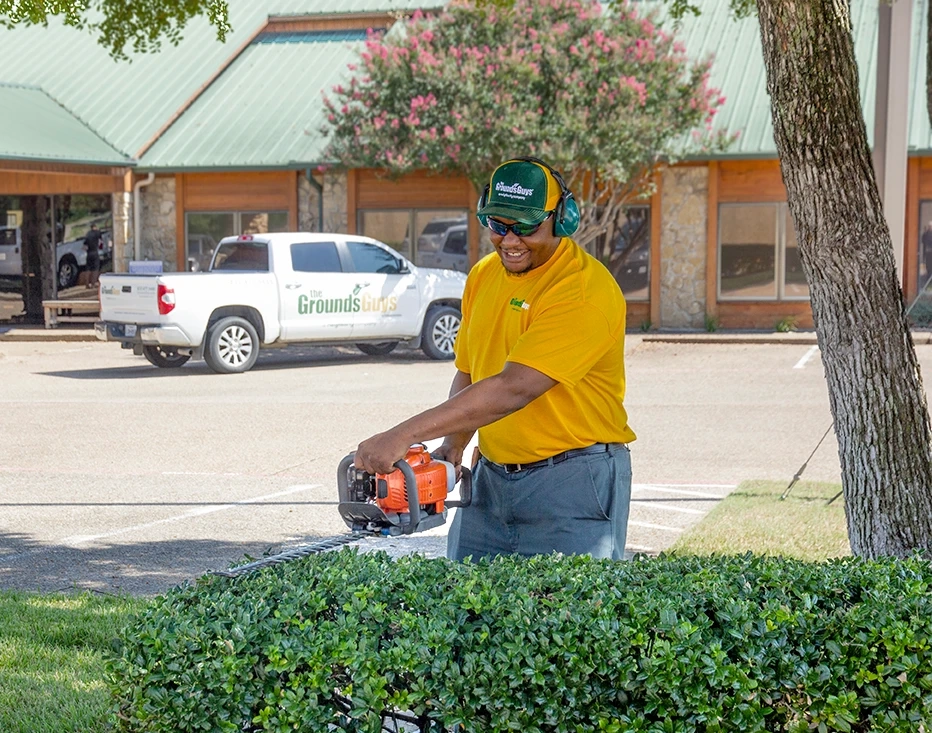 The Grounds Guys associate in yellow shirt trimming hedges.