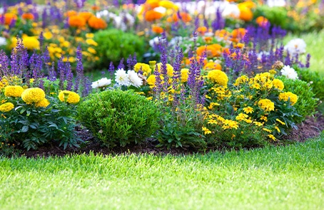 Blooming flower bed next to freshly trimmed grass