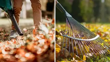 On the left, a person using a leafblower in a yard; on the right, a rake cleaning up leaves on grass.