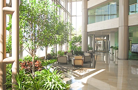 interior landscaping within a commercial building