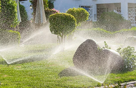 Lawn sprinklers spraying water on landscaped yard with shrubs and bushes.