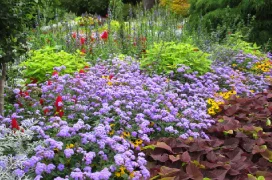 A colourful flower bed with a variety of flowers.
