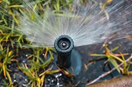 A sprinkler head spraying water on grass.