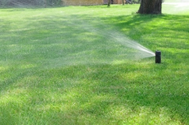 A sprinkler spraying water on grass.