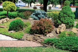 A variety of shrubs planted in a mulch bed on a commercial property.