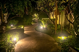 A curved backyard path with lush shrubbery and trees accented by in-ground outdoor lighting.