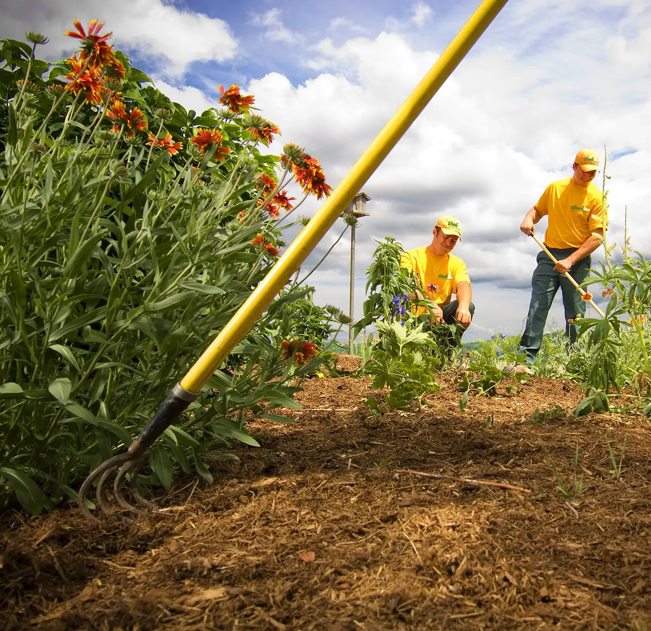 The Grounds Guys service professionals cleaning up a colorful flower bed with brown mulch.