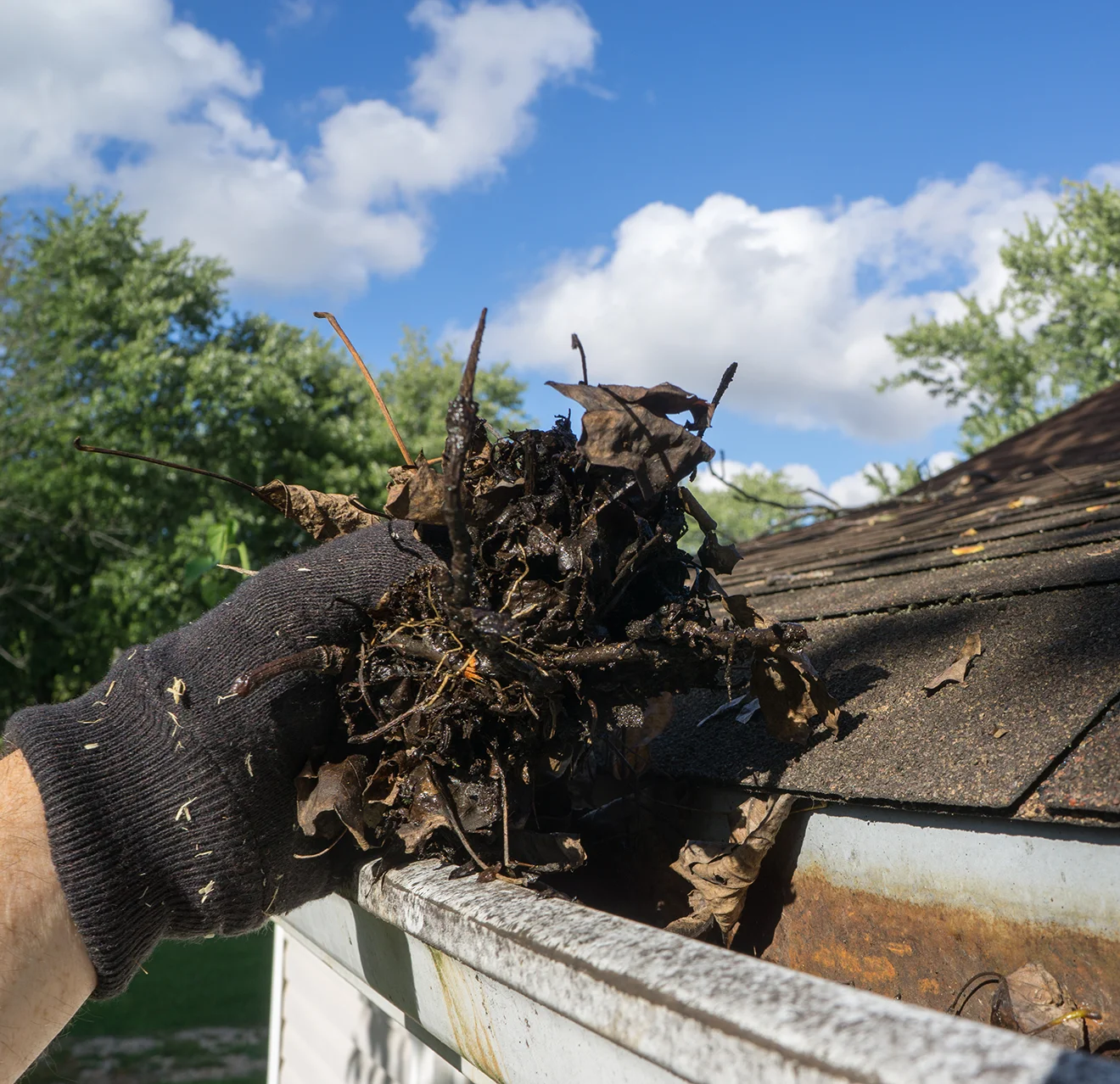 A gloved hand lifting leaves out of the gutter at the edge of a home's roof.