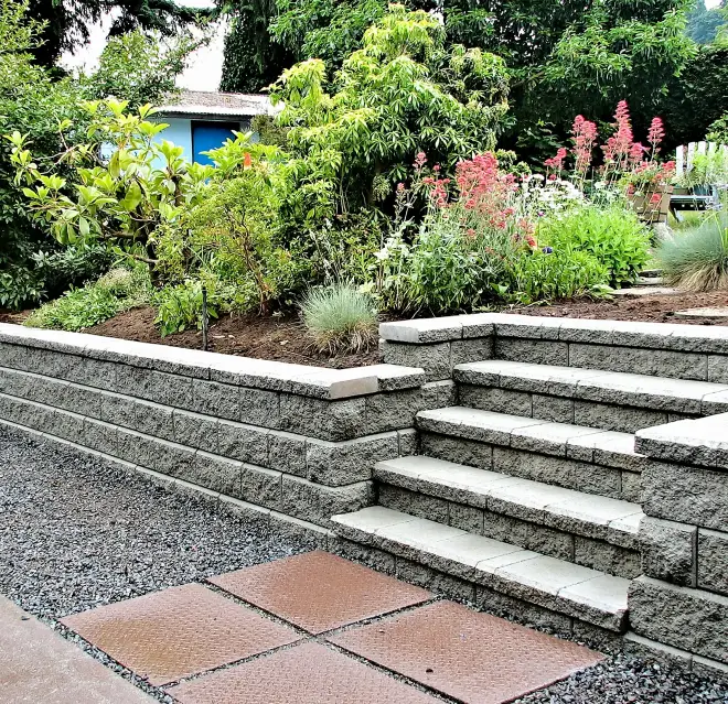 Concrete steps leading up to a lush garden with brown mulch.