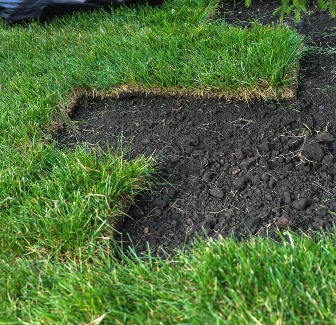 Square pieces of grass sod added over dirt, with some of the dirt still exposed.