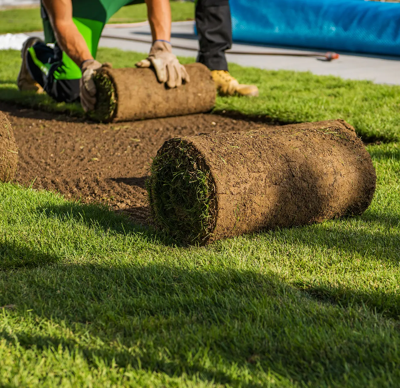 Sod Installation | Sod Lawn Installation | The Grounds Guys