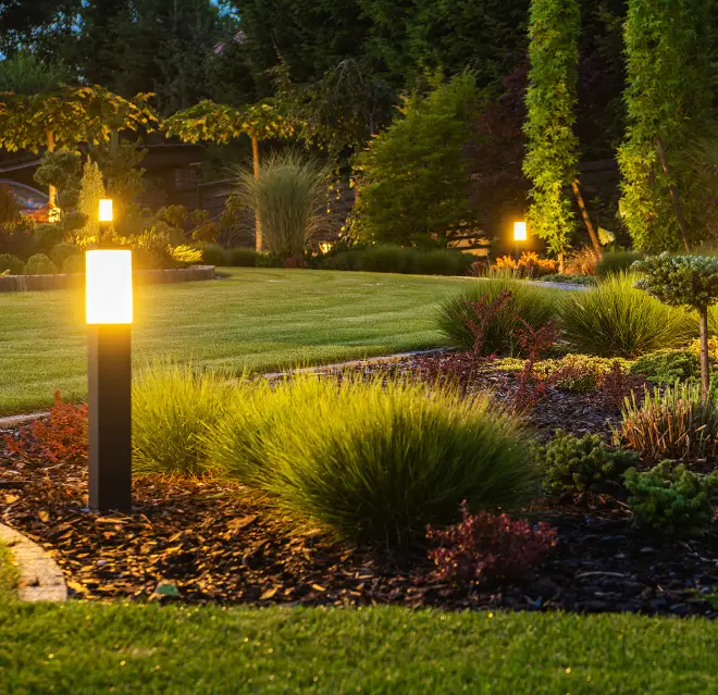 LED lighting illuminating a well-landscaped backyard garden.