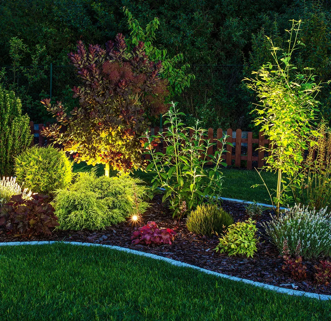 A shrub and flower garden illuminated by outdoor lighting.