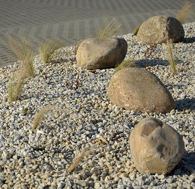 Rocks, pebbles, and grasses used for landscaping on a commercial property.