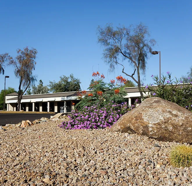 Native arid plants and cacti in a rock bed at a strip mall.