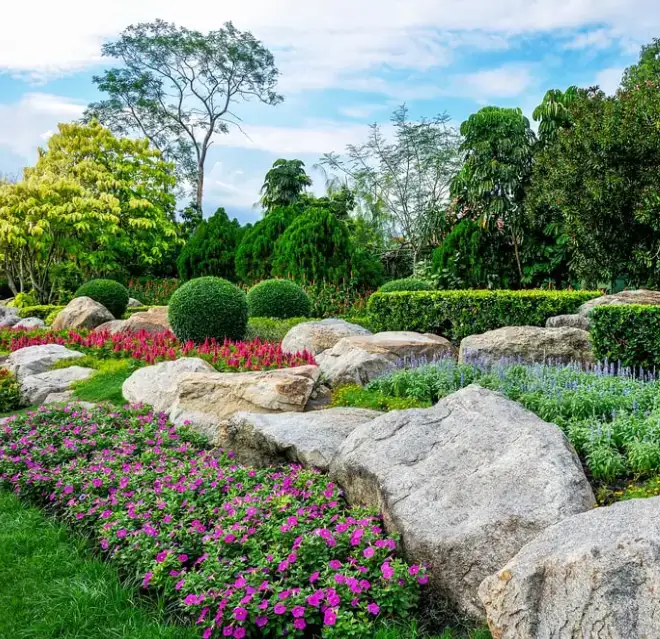 Landscape design with flower, rocks, and topiary shrubs.