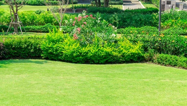 Flower beds and shrubs framing the edges of a commercial property.