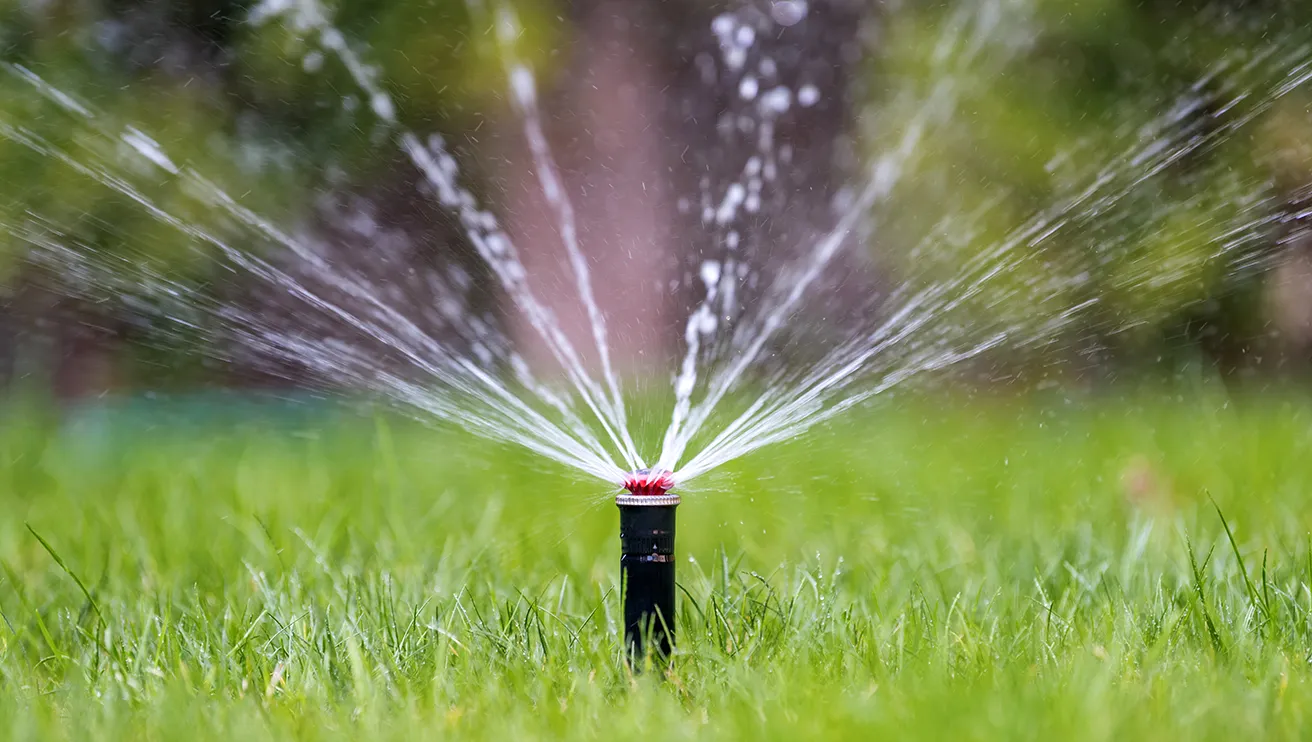 A sprinkler head installed in grass spraying water in multiple directions.