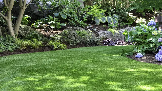 A lush lawn framed by plant beds and trees.