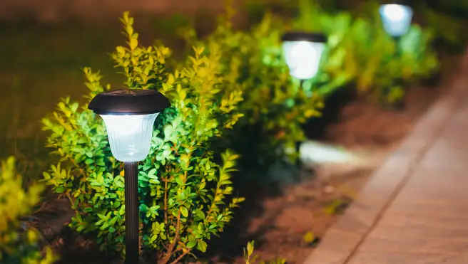 Decorative small solar garden light along path with bushes at night.