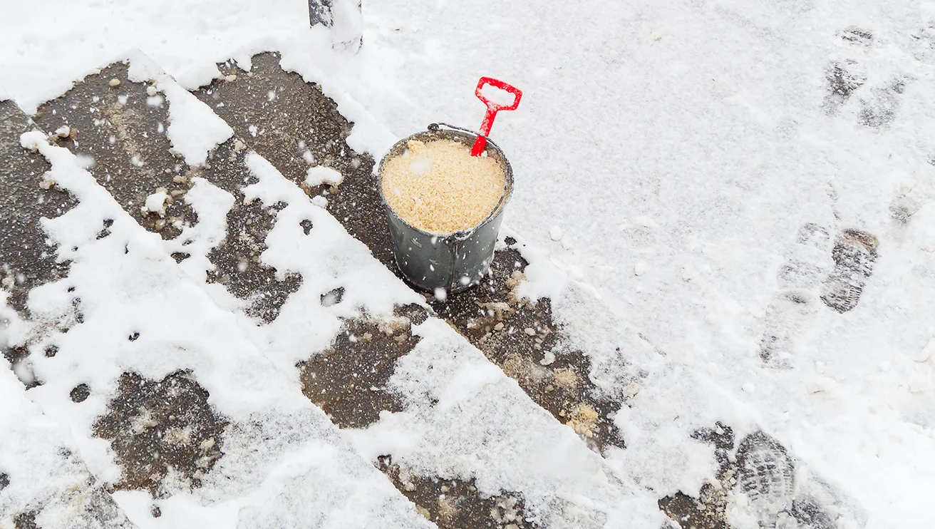 Sawdust and snow.