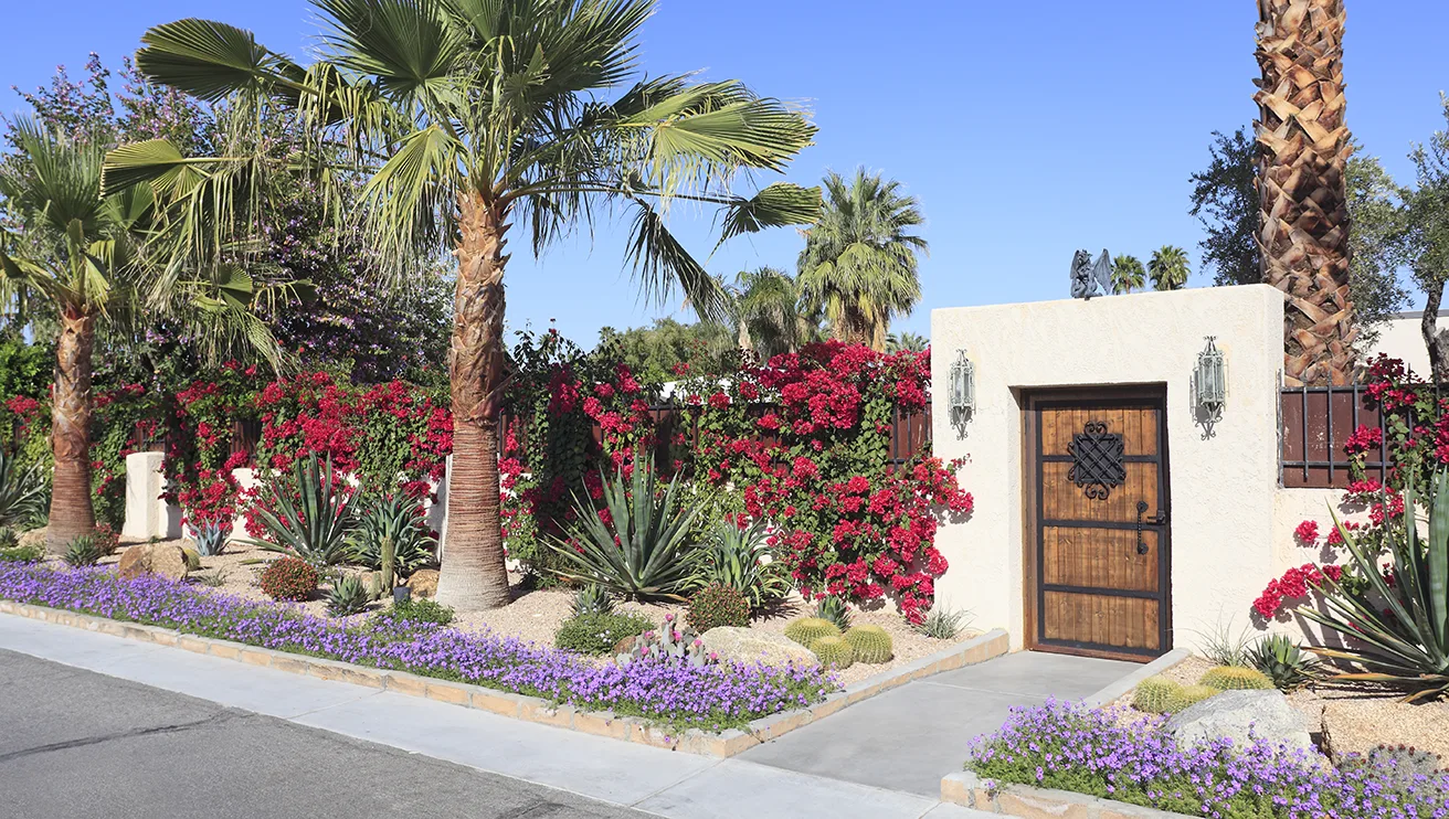 Xeriscaping in front of a wooden door fence.