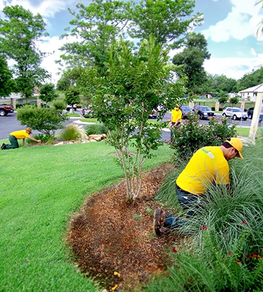 A lush green lawn and a Grounds Guys service professional tending to a plant in a mulch bed.