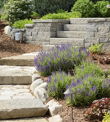 Stone steps flanked by lavender bushes, other shrubs, and outdoor lights.