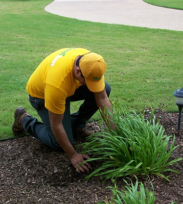 The Grounds Guys service professional tending to a plant in a mulch bed.