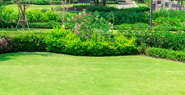 Flowers growing among shrubs and hedges on a commercial property.