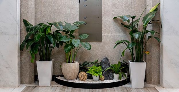 An arrangement of large and small potted plants in a lobby.