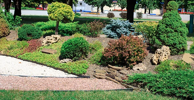 A variety of shrubs planted in a mulch bed on a commercial property.