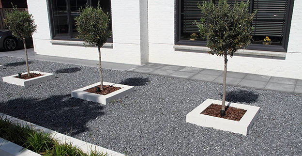 Gravel installed around small trees planted outside a commercial building.