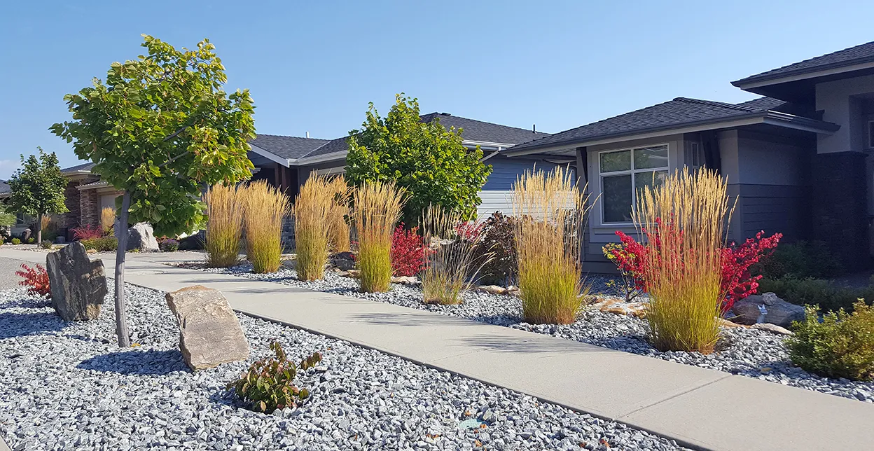 Two homes with tall grasses, flowering plants, and gravel installed in their front yards.