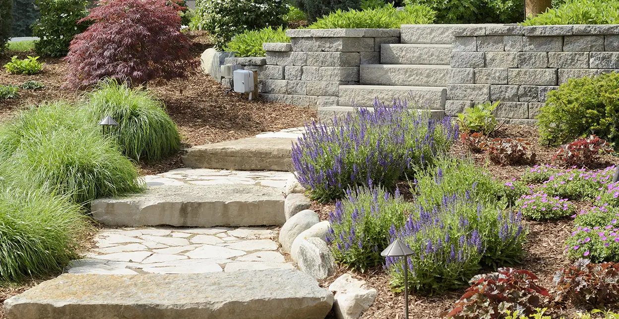 Stone steps flanked by lavender bushes, other shrubs, and outdoor lights.