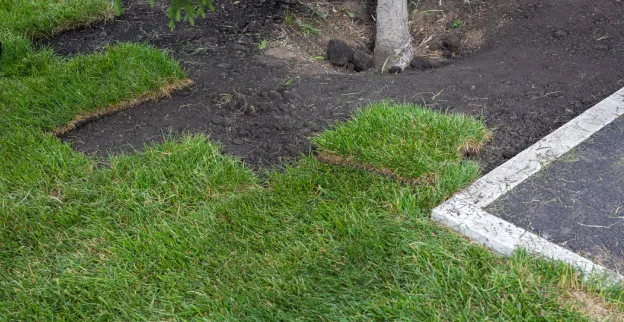 Square sections of sod installed on dirt in a yard, with some dirt still exposed.