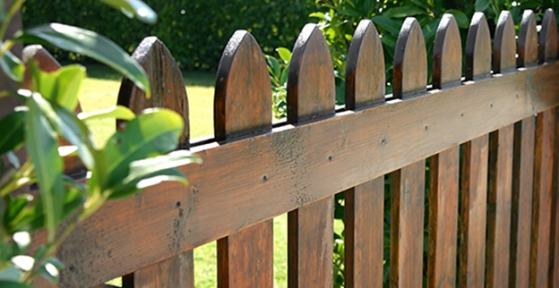 A wood fence separating two backyards.