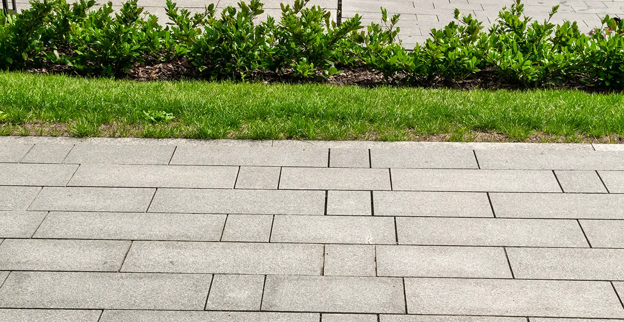 A freshly pressure-washed walkway made of concrete pavers.