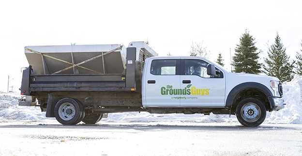 The Grounds Guys branded truck in a parking lot cleared of snow.