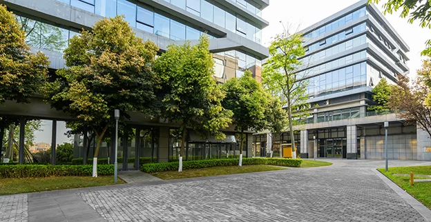 Trees outside two glass office buildings.