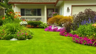 Beautiful front yard with a variety of flowers and plants.