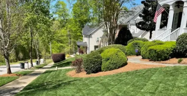 A neatly mowed front lawn with well-trimmed bushes done by The Grounds Guys of Garner in North Carolina.