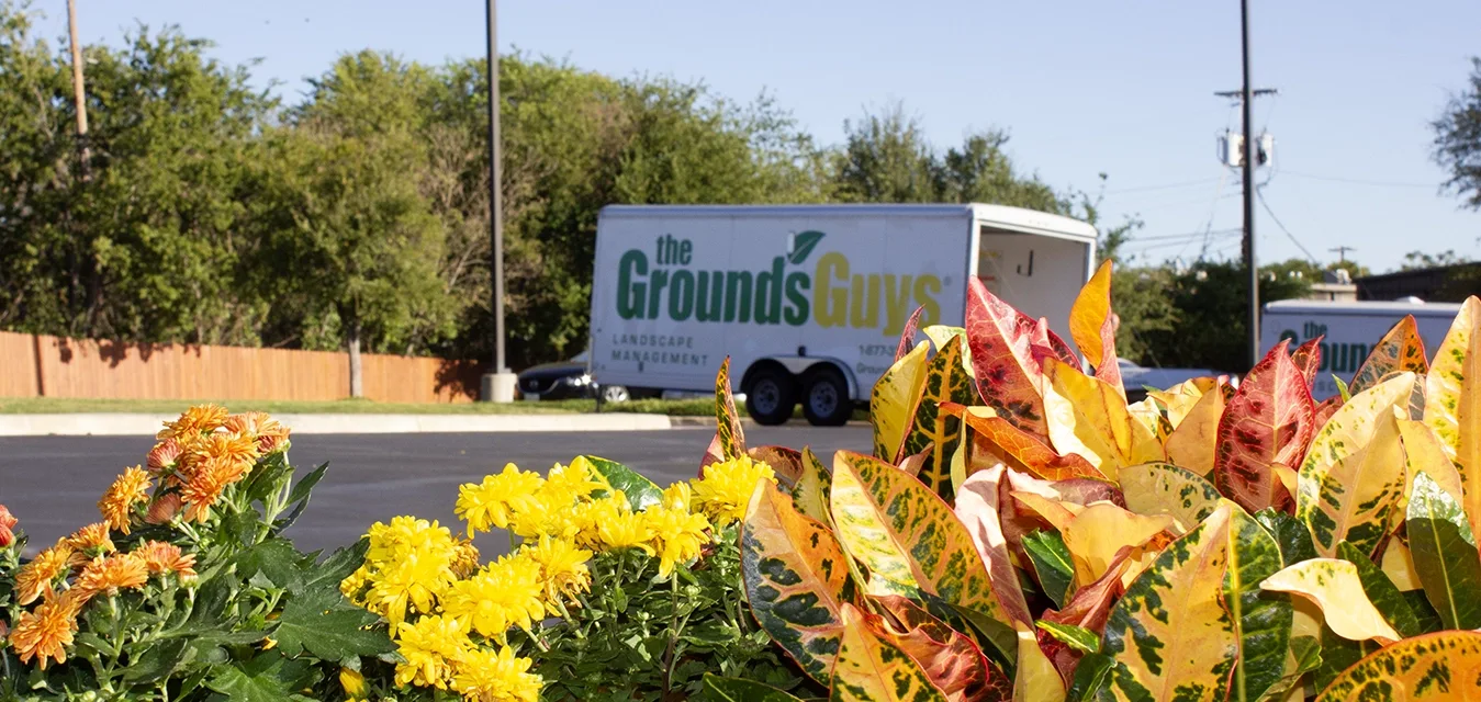 Colorful plants and The Grounds Guys branded trailer in a commercial lot.