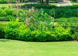 Flower beds in the front yard of a large home.