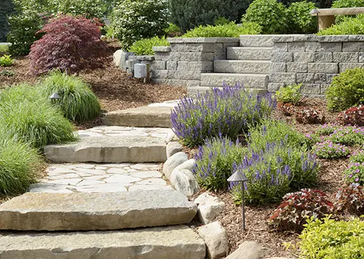 Stone steps flanked by lavender bushes, other shrubs, and outdoor lights.