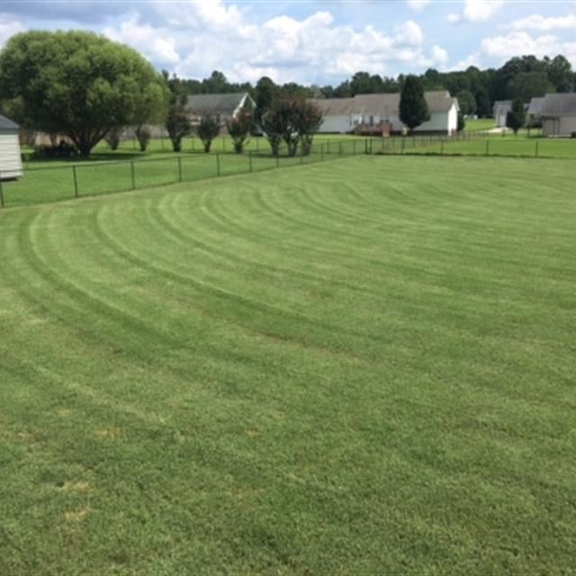 A deck view of the lawn with the background of the fence.