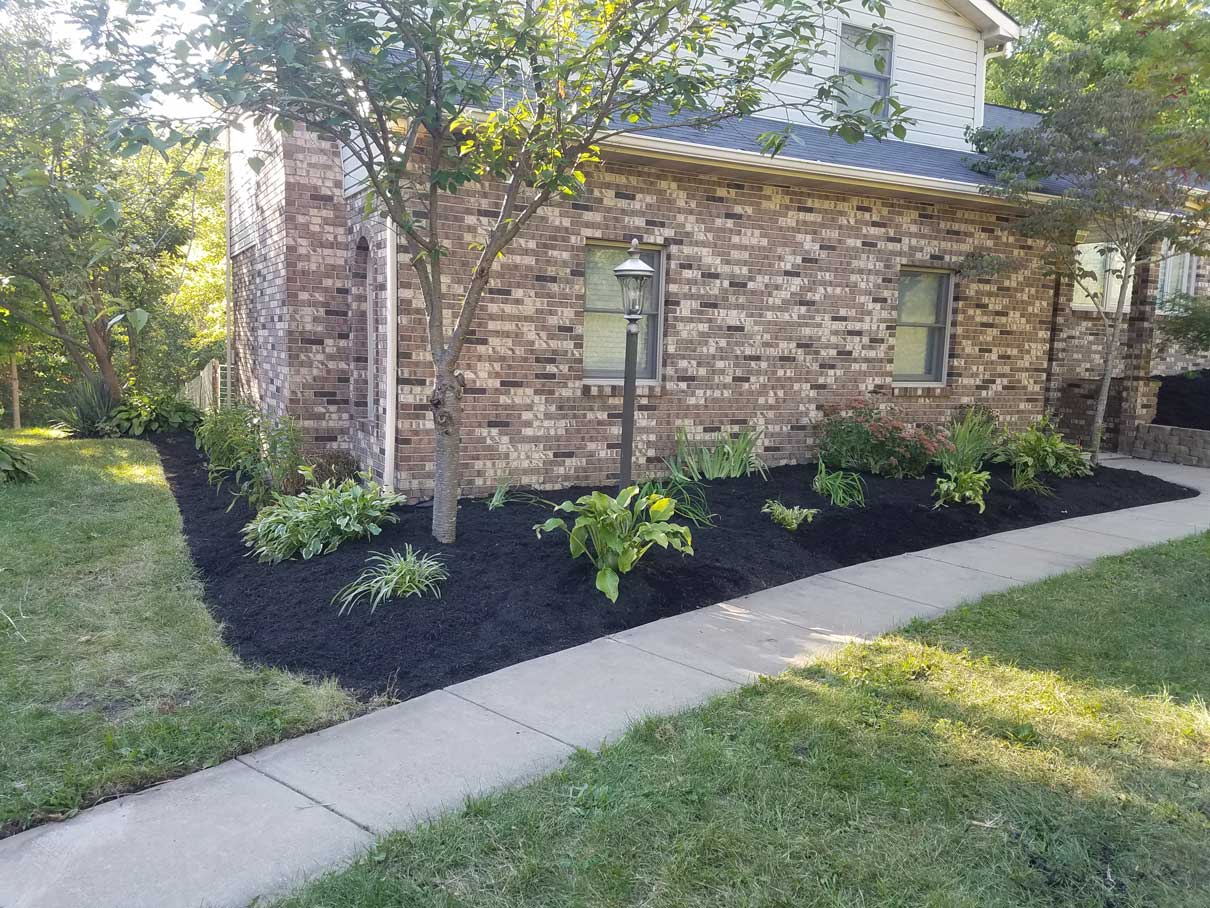 Well manicured planters and trees