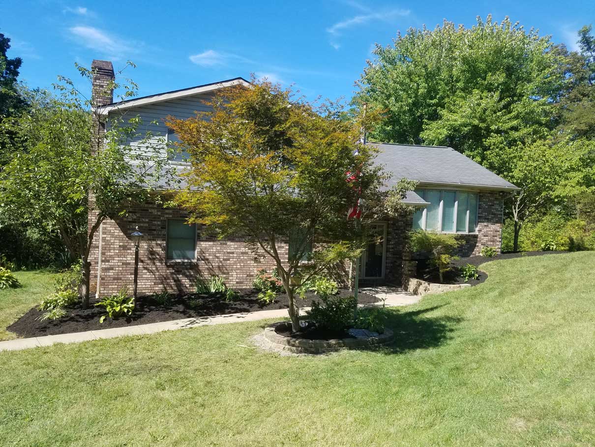 Well manicured lawn and tree